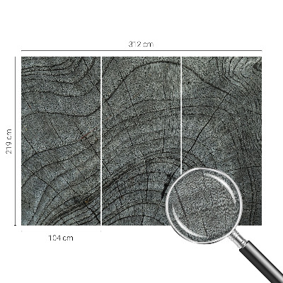 Stenska fototapeta flis z vzorcem zrn
