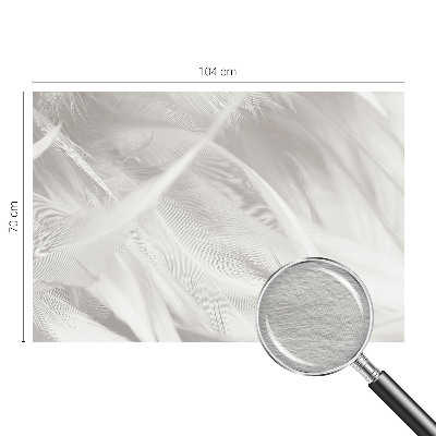 Foto tapeta Nežno perje