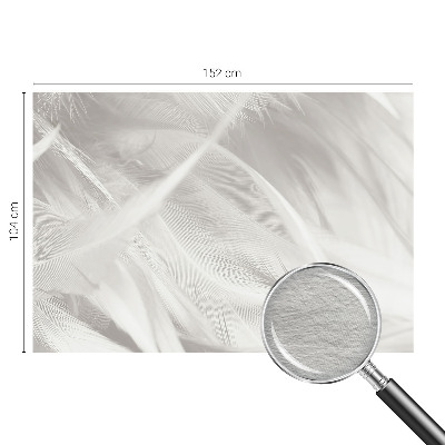 Foto tapeta Nežno perje