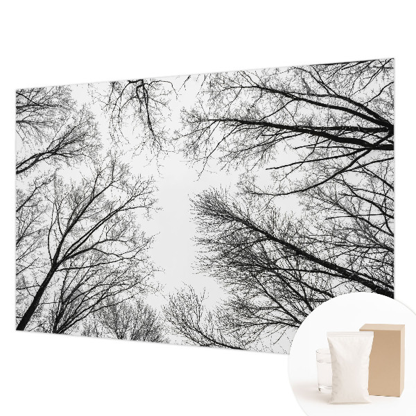 Fototapeta po meri z motivom golih vej
