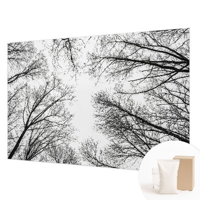 Fototapeta po meri z motivom golih vej