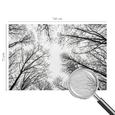 Fototapeta po meri Gole veje