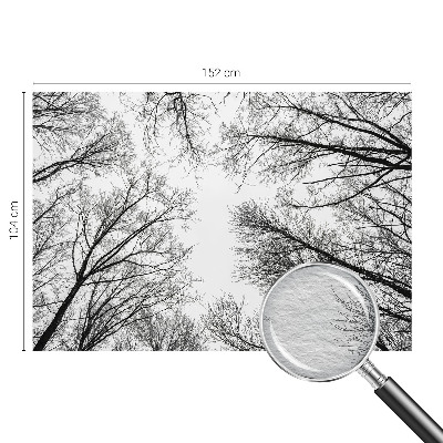 Fototapeta po meri Gole veje