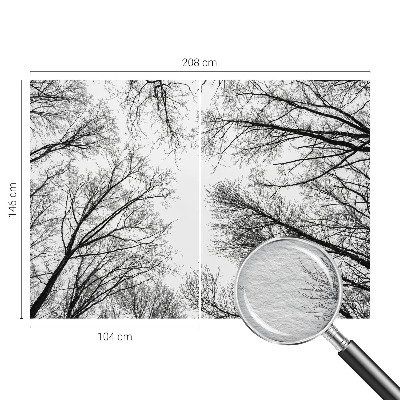 Fototapeta po meri Gole veje