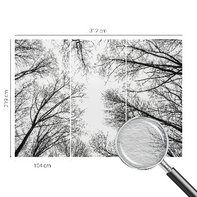 Fototapeta po meri Gole veje