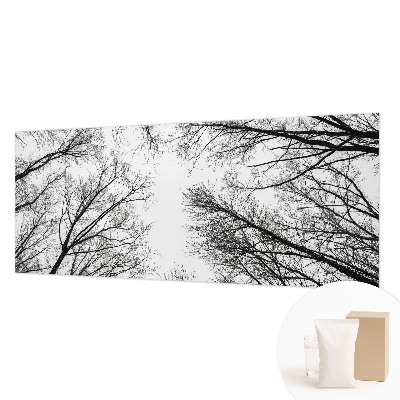 Fototapeta po meri z motivom golih vej