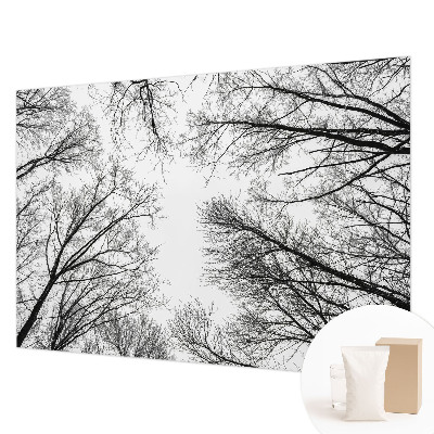 Fototapeta po meri z motivom golih vej
