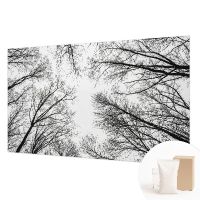 Fototapeta po meri z motivom golih vej