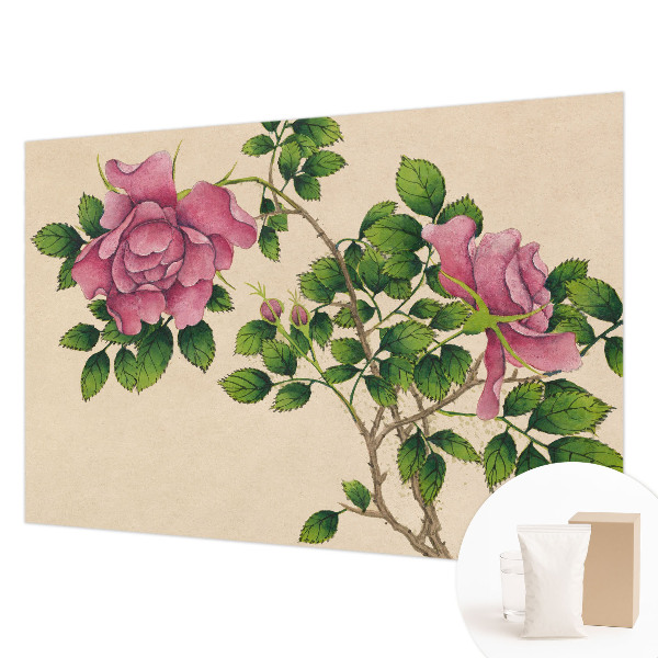 Visokokakovostna fototapeta Romantične vrtnice