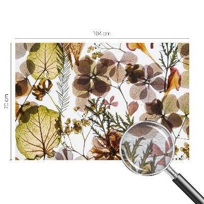 Dekorativna fototapeta Naravna sestava