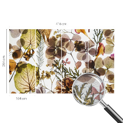 Dekorativna fototapeta Naravna sestava