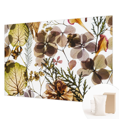 Dekorativna fototapeta Naravna sestava