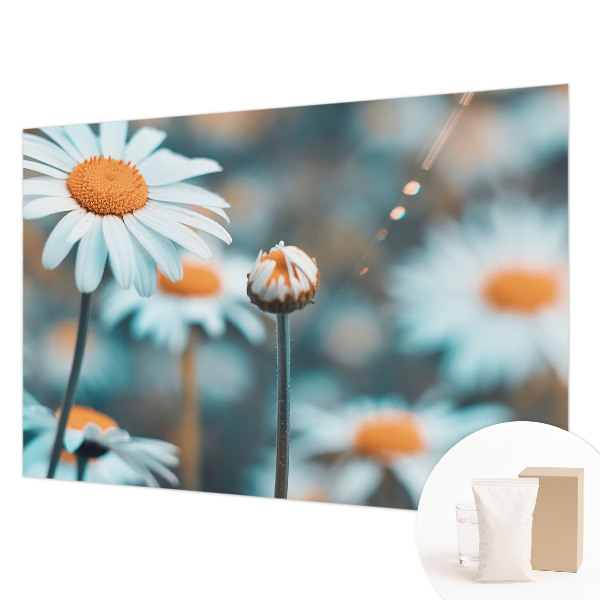 Fototapeta za dnevno sobo z motivom kamilične poslastice