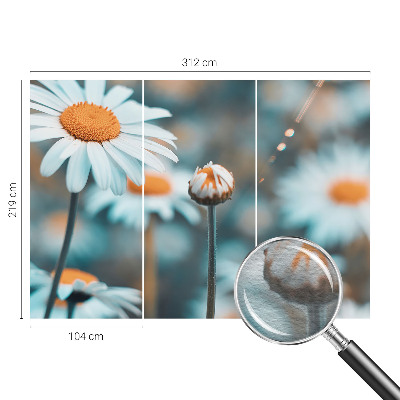Fototapeta za dnevno sobo z motivom kamilične poslastice