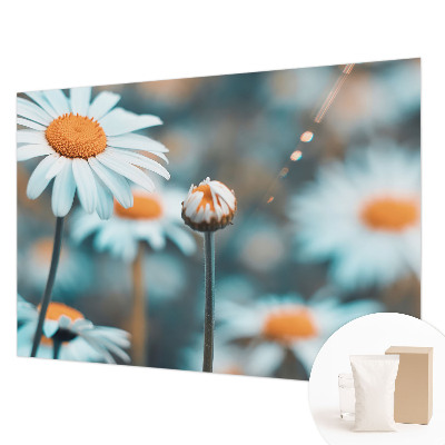 Fototapeta za dnevno sobo z motivom kamilične poslastice
