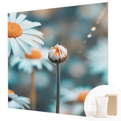 Fototapeta za dnevno sobo z motivom kamilične poslastice