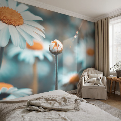 Fototapeta za dnevno sobo Kamilična poslastica