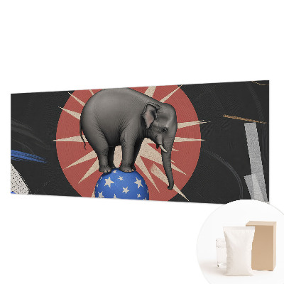 Flis fototapeta Cirkuški slon