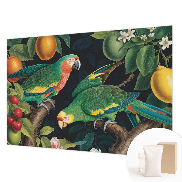 Fototapeta po meri Tropska pustolovščina