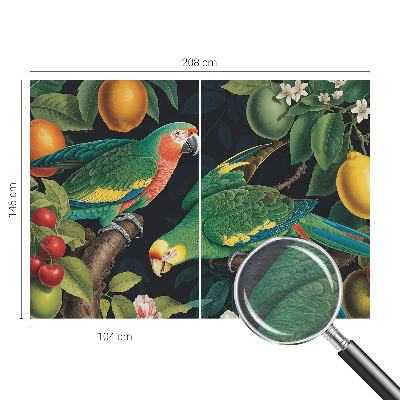 Fototapeta po meri Tropska pustolovščina