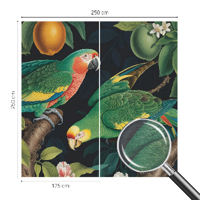 Fototapeta po meri Tropska pustolovščina