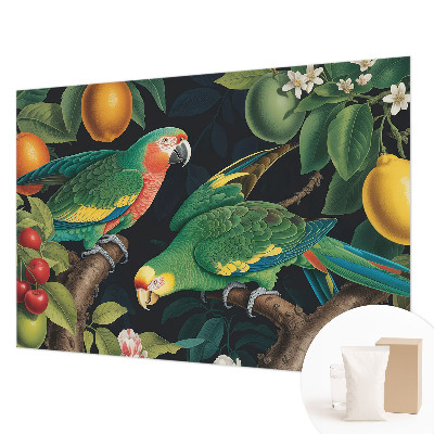 Fototapeta po meri Tropska pustolovščina