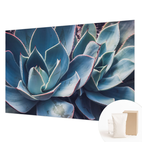 Fototapeta s tiskom Zelena aloja