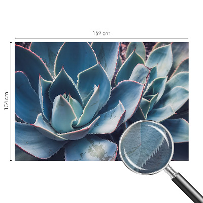 Fototapeta s tiskom Zelena aloja