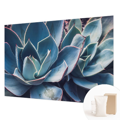 Fototapeta s tiskom Zelena aloja