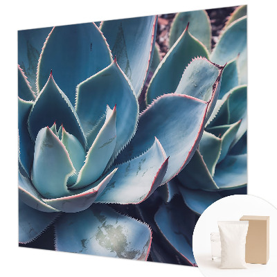 Fototapeta s tiskom Zelena aloja