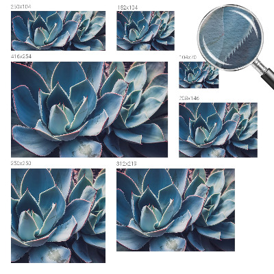 Fototapeta s tiskom Zelena aloja