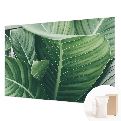 Foto tapeta Zeleni mir