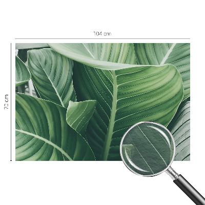 Foto tapeta Zeleni mir