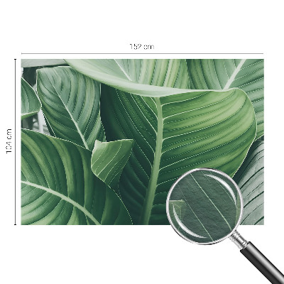 Foto tapeta Zeleni mir