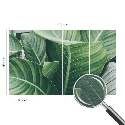 Foto tapeta Zeleni mir