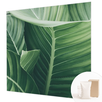 Foto tapeta Zeleni mir