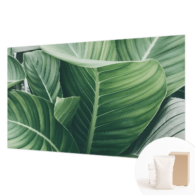 Foto tapeta Zeleni mir