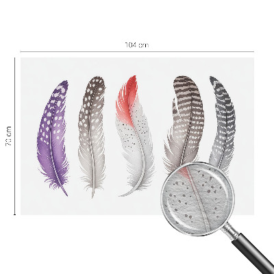 Dekorativna fototapeta Vzorčasto perje