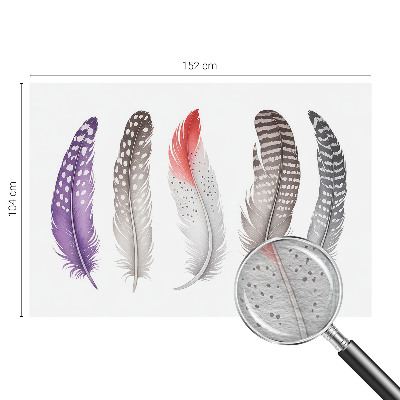 Dekorativna fototapeta Vzorčasto perje