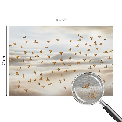 Moderna fototapeta s prikazom ptic v letu
