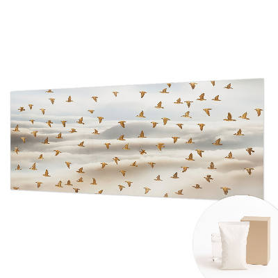 Moderna fototapeta Ptice v letu