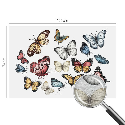 Stenska dekoracija fototapeta Rajski metulji