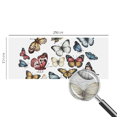 Stenska dekoracija fototapeta Rajski metulji