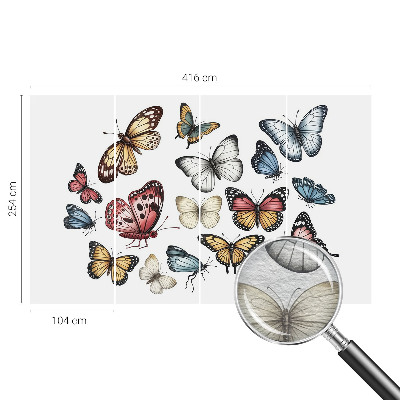 Stenska dekoracija fototapeta Rajski metulji