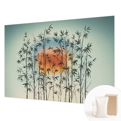 Dekorativna fototapeta z motivom harmoničnega zahoda