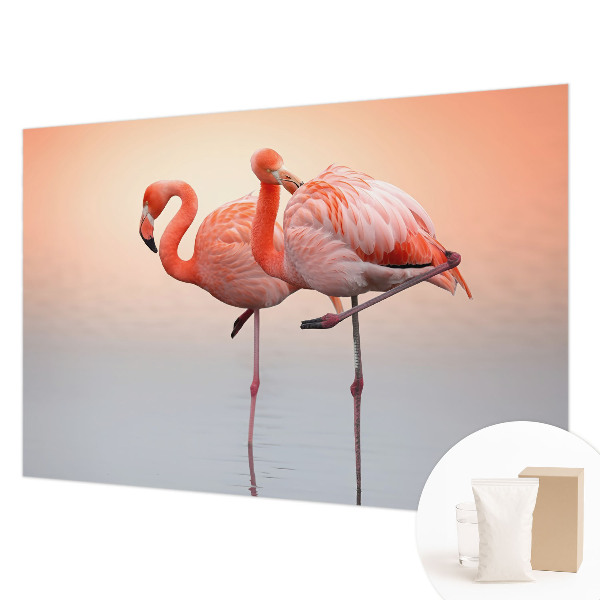 Stenska fototapeta Fliz z motivom nežnih flamingov