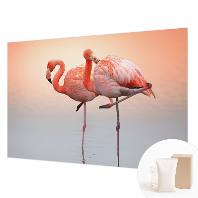 Stenska fototapeta Fliz z motivom nežnih flamingov