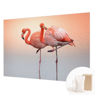 Stenska fototapeta Fliz z motivom nežnih flamingov
