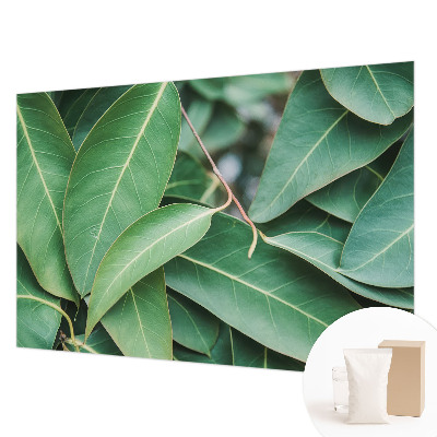 Flis fototapeta Zeleni listi