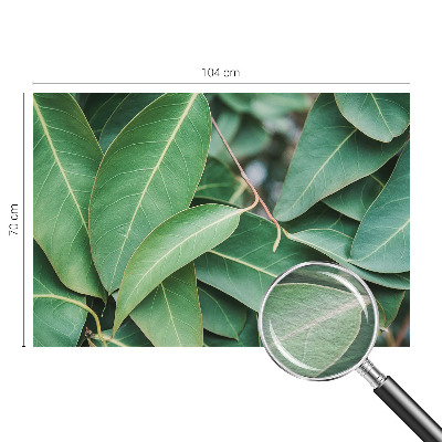 Flis fototapeta Zeleni listi